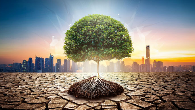 A flourishing tree with vibrant leaves growing from cracked, dry ground, its roots extending deeply into the earth, symbolizing resilience and growth in challenging environments.